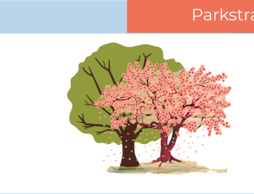 Project: Parkstraat Begraafplaats