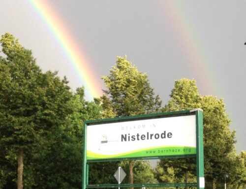 Wat doet een dorpsraad eigenlijk?